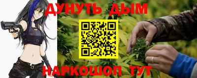 прущий лед Будённовск