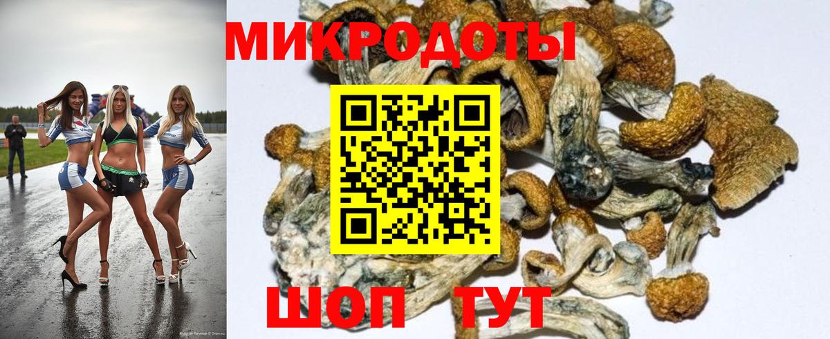 Энгельс  Псилоцибиновые грибы GOLDEN TEACHER  Вход с VPN 